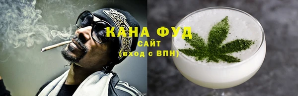 МДПВ Гусев
