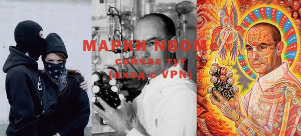 apvp Алексин