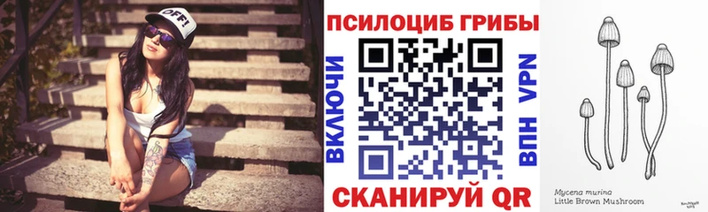 блэк спрут tor Сосновка Галлюциногенные грибы Psilocybe