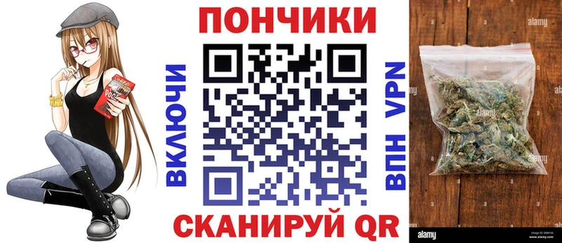 Конопля Bruce Banner  где продают   Сосновка 